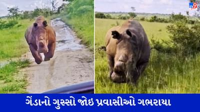 Viral Video: ક્રોધિત ગેંડાનું ભયાનક સ્વરુપ, ગેંડાનો ગુસ્સો જોઈ પ્રવાસીઓ ચીસો પાડવા લાગ્યા