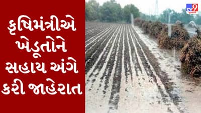 Breaking News : કમોસમી વરસાદથી થયેલા નુકસાનમાં ખેડૂતોને સહાય ચૂકવાશે, કૃષિમંત્રીએ વિધાનસભા ગૃહમાં કરી જાહેરાત