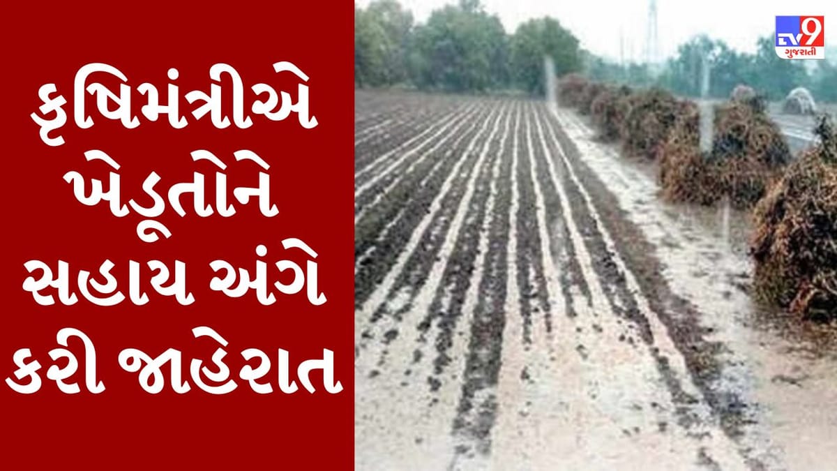 Breaking News : કમોસમી વરસાદથી થયેલા નુકસાનમાં ખેડૂતોને સહાય ચૂકવાશે, કૃષિમંત્રીએ વિધાનસભા ગૃહમાં કરી જાહેરાત