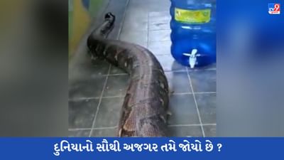 દુનિયાનો સૌથી મોટો અજગર તમે જોયો છે ? Viral Video જોઇ લોકોના હોશ ઉડી ગયા