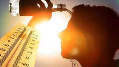 અહીં આપવામાં આવેલા ફુડ આઈડિયાને તમે તમારા ડાયટમાં સમાવેશ કરી શકો છો.