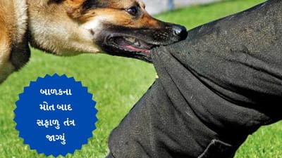 Surat : શ્વાનનો આતંક યથાવત, બાળકના મોત બાદ સફાળુ જાગ્યું તંત્ર, મનપાના અધિકારીઓ દોડતા થયા