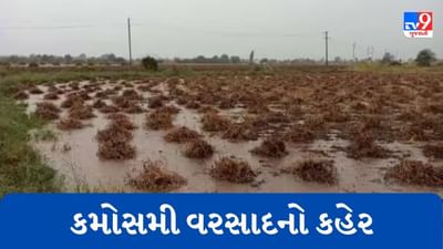 Gujarati Video : ગોંડલમાં વહેલી સવારે ધીમી ધારે વરસાદ વરસ્યો, ખેડૂતોને પાક નુકસાનની ભીતિ