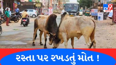 Gujarati VIDEO : રખડતા ઢોરનો આતંક યથાવત, લીંબડીના નાના ટીંબલા ગામમાં આખલાની અડફેટે આવતા 6 વર્ષના બાળકનું મોત, જુઓ Video