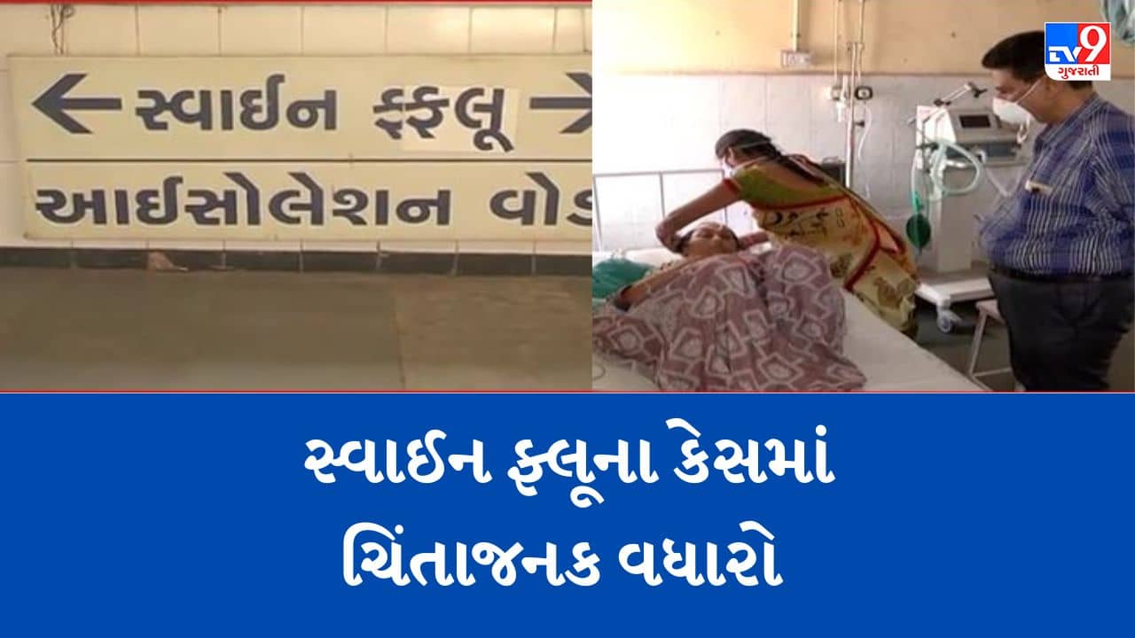 Gujarati Video: રાજ્યમાં સ્વાઈન ફ્લૂના કેસમાં ચિંતાજનક વધારો, બે મહિનામાં 74 દર્દી નોંધાયા, એક દર્દીનું મોત થયુ