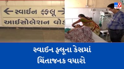 Gujarati Video: રાજ્યમાં સ્વાઈન ફ્લૂના કેસમાં ચિંતાજનક વધારો, બે મહિનામાં 74 દર્દી નોંધાયા, એક દર્દીનું મોત થયુ Gujarati Video: રાજ્યમાં સ્વાઈન ફ્લૂના કેસમાં ચિંતાજનક વધારો, બે મહિનામાં 74 દર્દી નોંધાયા, એક દર્દીનું મોત થયુ