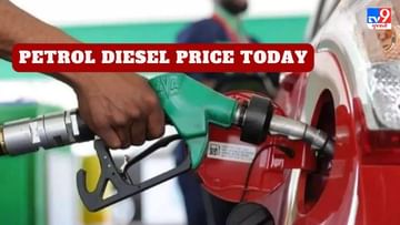Petrol Diesel Price Today : આજે સવારે 6 વાગે પેટ્રોલ - ડીઝલના ભાવ અપડેટ કરાયા, જાણો લેટેસ્ટ રેટ