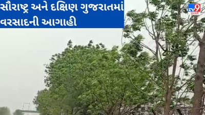 Gujarati Video : સૌરાષ્ટ્ર અને દક્ષિણ ગુજરાતમાં વરસાદની આગાહી, આંબાવાડીના માલિકો ચિંતાતુર બન્યા