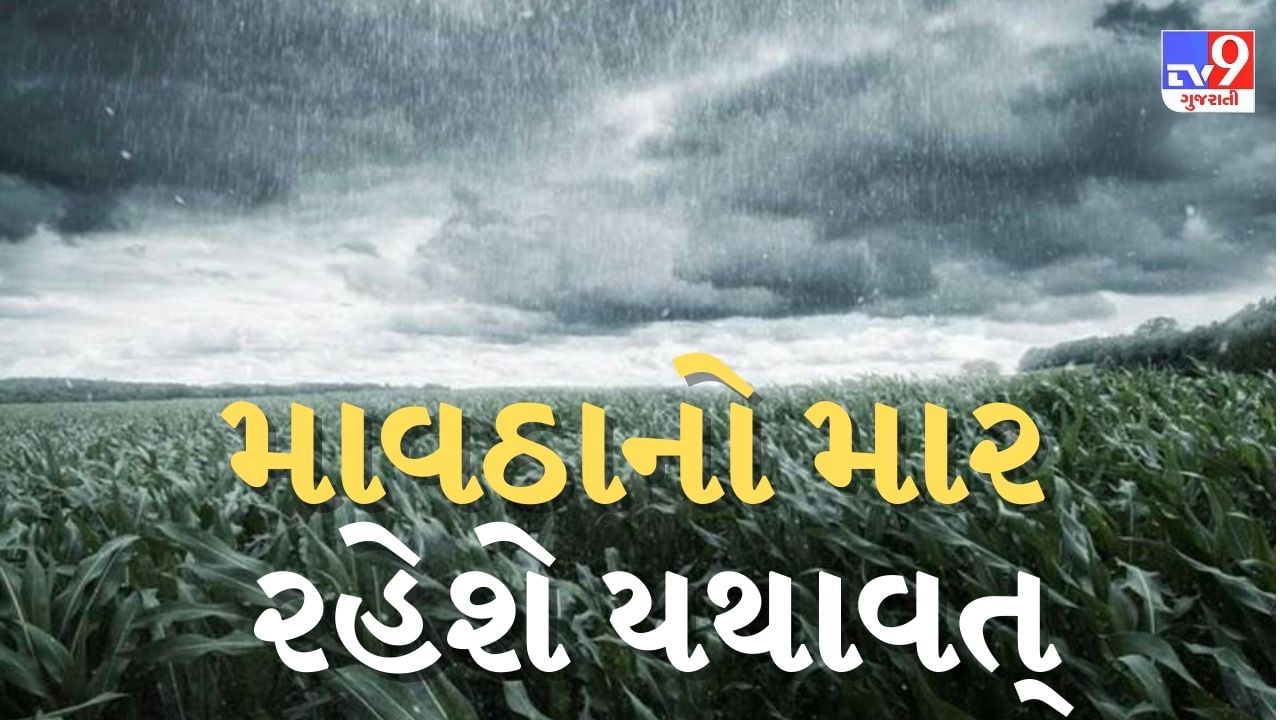 Breaking News : ખેડૂતો માટે ફરી એકવાર માઠા સમાચાર, ગુજરાતમાં કમોસમી વરસાદનો આવશે વધુ એક રાઉન્ડ, અમદાવાદ ગાંધીનગરમાં પડશે વરસાદ