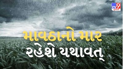 Gujarati Video : ગુજરાતમાં કમોસમી વરસાદનો માર રહેશે યથાવત્, હવામાન વિભાગે આ વિસ્તારોમાં માવઠુ થવાની કરી આગાહી