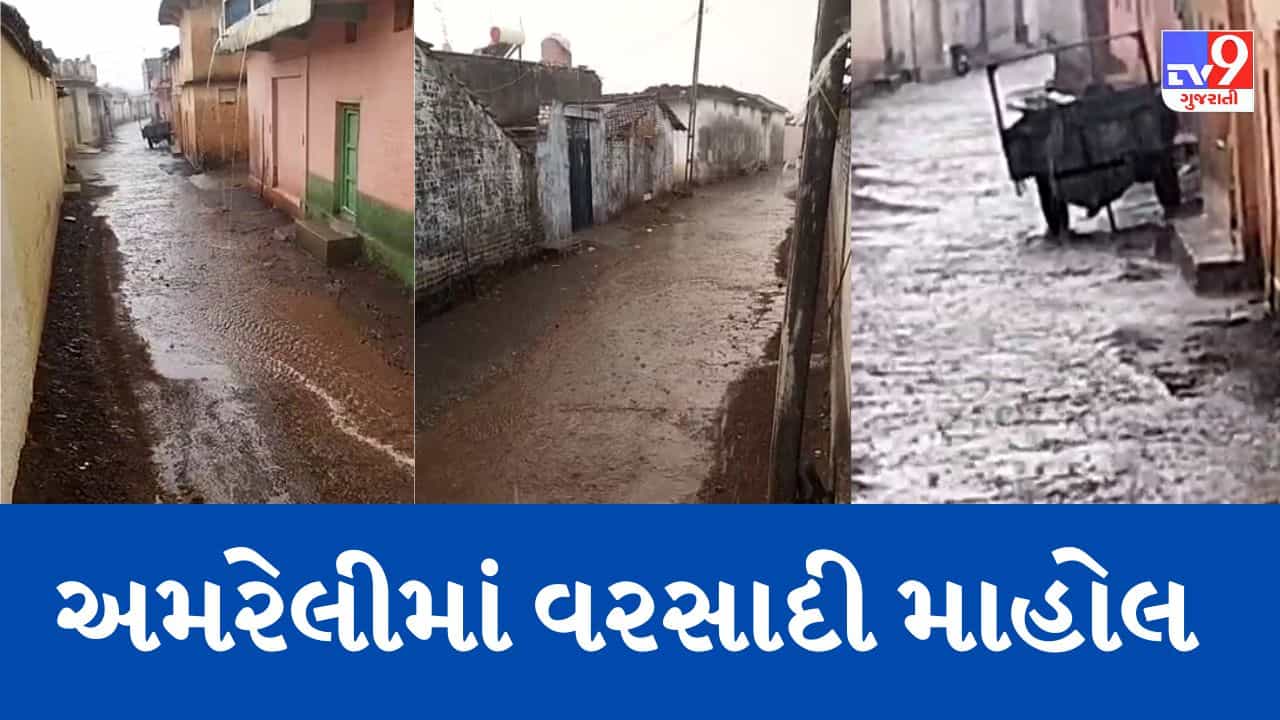 Gujarati Video : માવઠાની આગાહી વચ્ચે વરસ્યો કમોસમી વરસાદ,અમરેલીમાં ભારે પવન સાથે વરસાદ