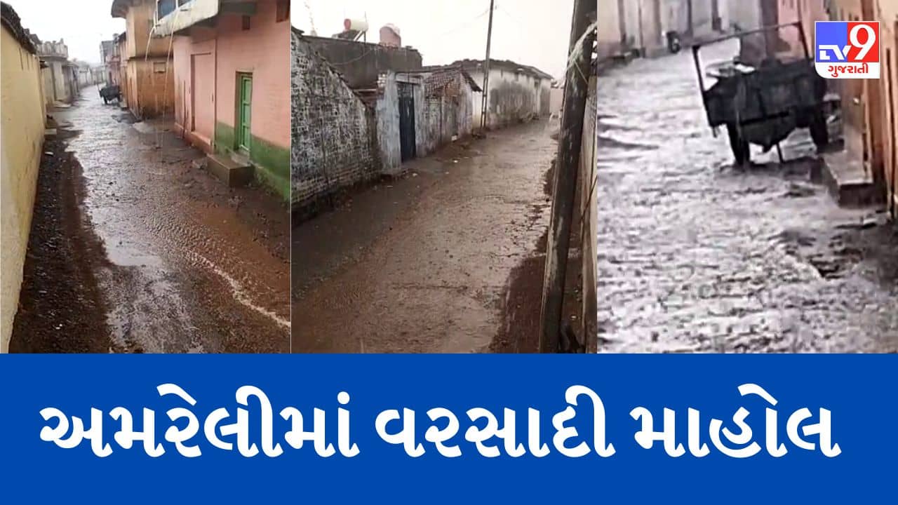 Gujarati Video : માવઠાની આગાહી વચ્ચે વરસ્યો કમોસમી વરસાદ,અમરેલીમાં ભારે પવન સાથે વરસાદ