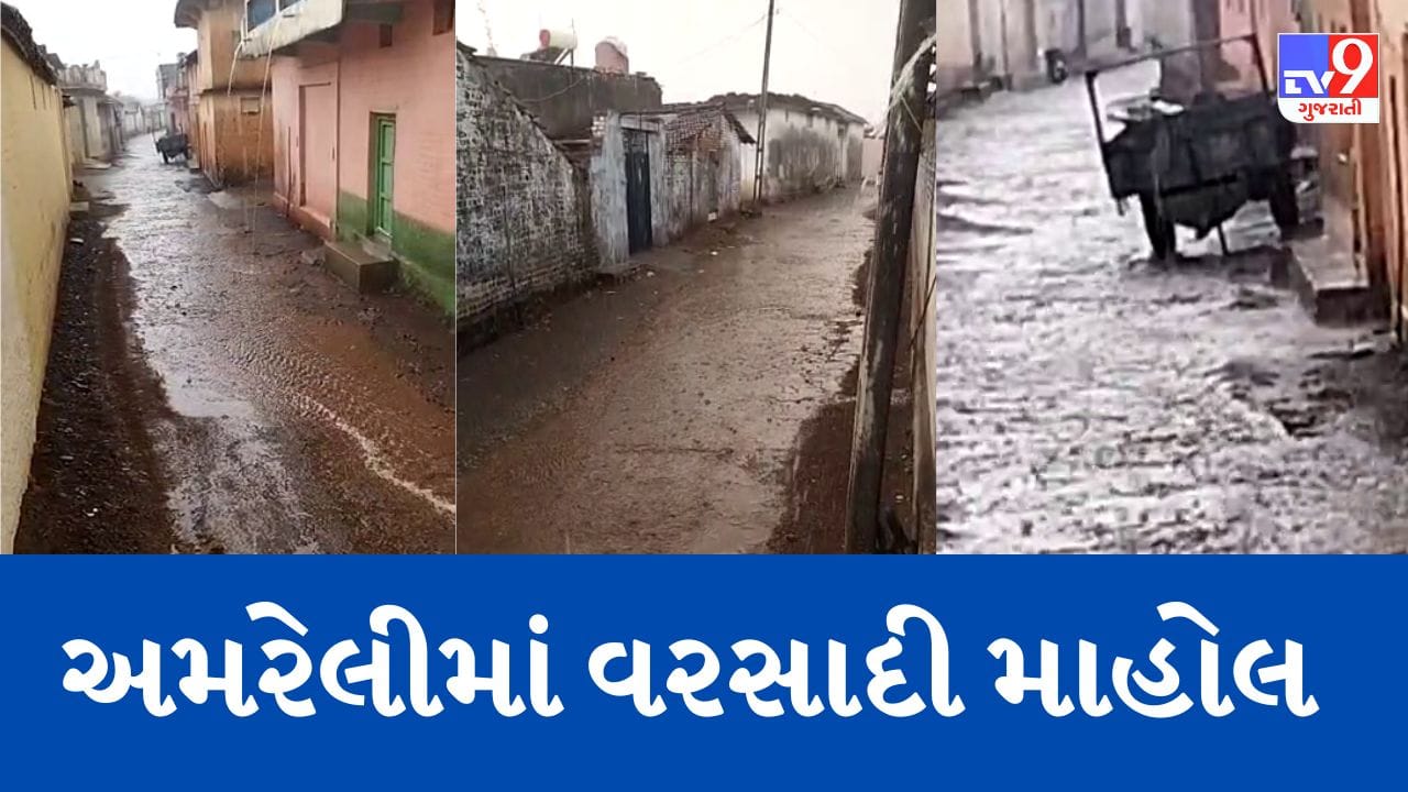 Gujarati Video : માવઠાની આગાહી વચ્ચે વરસ્યો કમોસમી વરસાદ,અમરેલીમાં ભારે પવન સાથે વરસાદ Gujarati Video : માવઠાની આગાહી વચ્ચે વરસ્યો કમોસમી વરસાદ,અમરેલીમાં ભારે પવન સાથે વરસાદ
