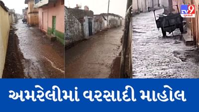 Gujarati Video : માવઠાની આગાહી વચ્ચે વરસ્યો કમોસમી વરસાદ,અમરેલીમાં ભારે પવન સાથે વરસાદ