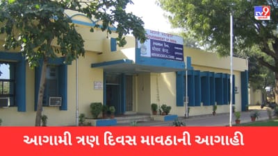 Gujarati Video: રાજ્યમાં કાળઝાળ ગરમી વચ્ચે માવઠાની આગાહી, આગામી 3 દિવસ અનેક જિલ્લાઓમાં વરસાદની શક્યતા Gujarati Video: રાજ્યમાં કાળઝાળ ગરમી વચ્ચે માવઠાની આગાહી, આગામી 3 દિવસ અનેક જિલ્લાઓમાં વરસાદની શક્યતા