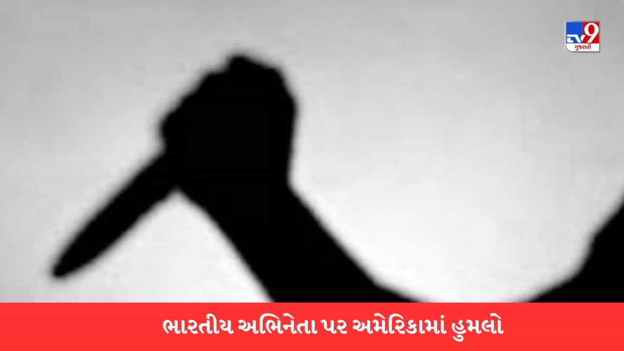 ભારતીય અભિનેતા પર અમેરિકામાં છરી વડે હુમલો, અભિનેતા ગંભીર રીતે ઘાયલ, ઘટનાના સીસીટીવી ફુટેજ આવ્યા સામે