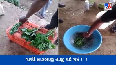 Viral Video: શાકભાજી વાસી થઇ ગઇ હતી, આ વ્યક્તિએ કેમિકલની મદદથી શાકભાજીને તાજી કરી, યુઝર્સ ગુસ્સે થયા