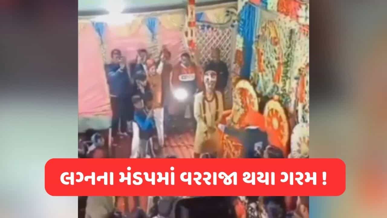 Viral Video : વરમાળા સાથે રમત કરતા વરરાજા ઉશ્કેરાયા, કર્યું એવું કૃત્ય જે જોઈને તમે પણ ચોંકી જશો !