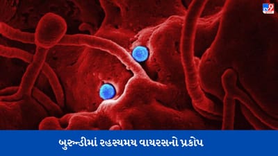 Breaking news: આફ્રિકામાં રહસ્યમય વાયરસનો હાહાકાર, ચેપગ્રસ્તનું 24 કલાકમાં મૃત્યુ થાય છે