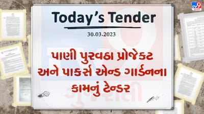 Tender Today : પાણી પુરવઠા પ્રોજેક્ટ અને પાર્ક્સ એન્ડ ગાર્ડનના કામ માટે ટેન્ડર જાહેર, જાણો કઇ નગરપાલિકા માટે કરવાનું રહેશે કામ