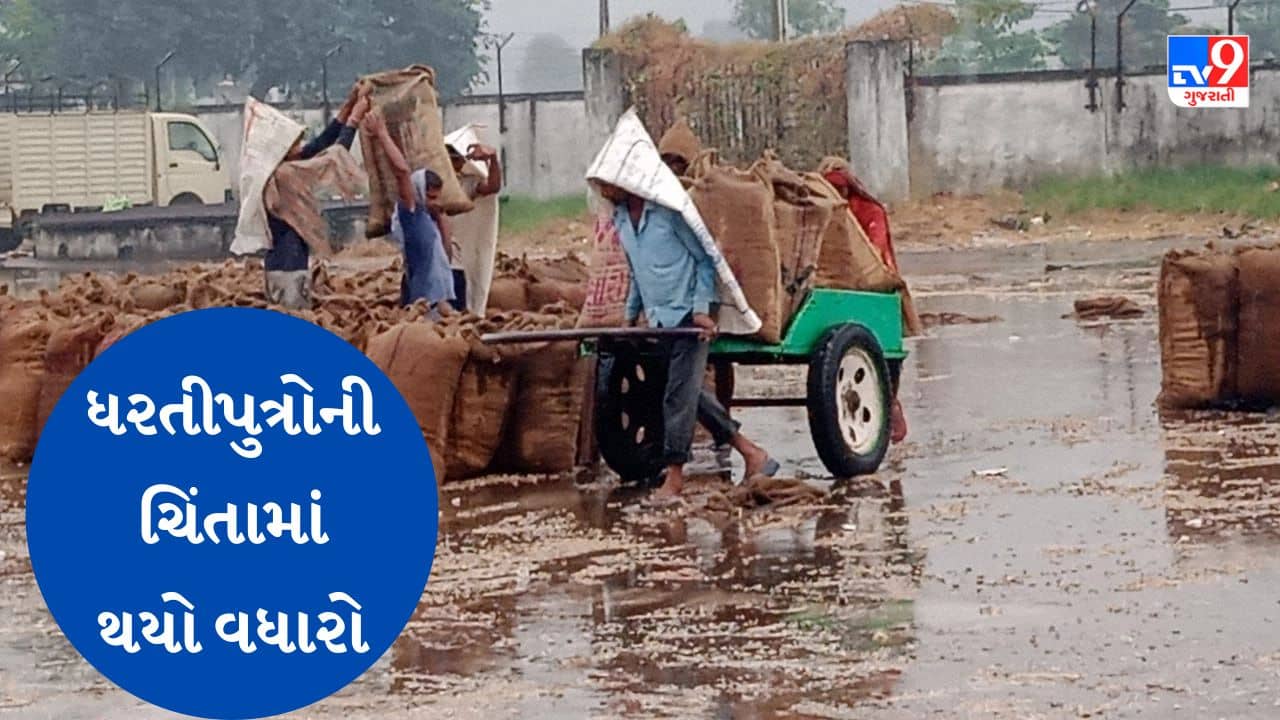 Gujarati Video : ખેડૂતો માટે ફરી એકવાર માઠા સમાચાર, ગુજરાતમાં 3 દિવસ કમોસમી વરસાદ થવાની આગાહી