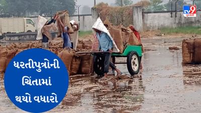 Gujarati Video : ખેડૂતો માટે ફરી એકવાર માઠા સમાચાર, ગુજરાતમાં 3 દિવસ કમોસમી વરસાદ થવાની આગાહી