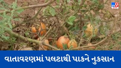 Gujarati Video: આણંદ જિલ્લાના વાતાવરણમાં પલટો, વારંવાર માવઠાથી ખેડૂતો પરેશાન