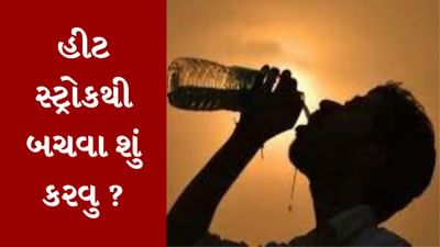 Health : ઉનાળામાં લૂથી બચવા શું કરવુ અને શું ન કરવુ જોઇએ ? જાણો આ રહ્યા ઉપાય