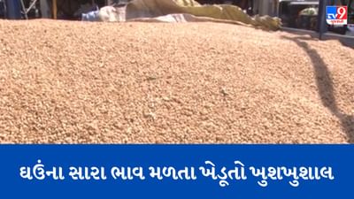 Gujarati Video: હિંમતનગર માર્કેટિંગ યાર્ડમાં મોટાપ્રમાણમાં ઘઉંની આવક શરૂ, સારા ભાવ મળતા ખેડૂતો ખુશખુશાલ