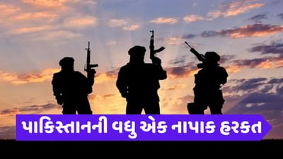 કાશ્મીરમાં તમારી મિલકત વેચીને આતંક ફેલાવો, પાકિસ્તાનની નવી નાપાક ચાલ
