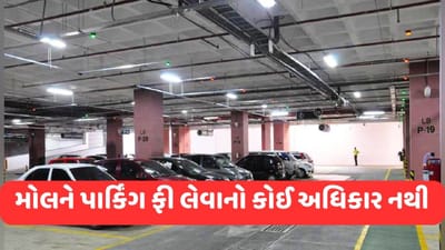 મોલને પાર્કિંગ ફી લેવાનો કોઈ અધિકાર નથી : આંધ્રપ્રદેશ જિલ્લા ગ્રાહક આયોગ