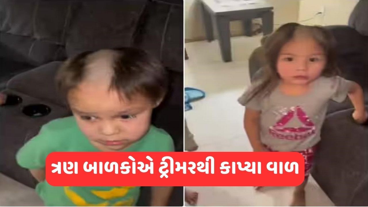 Viral Video: બાળકોના હાથે ચડ્યું ઈલેક્ટ્રીક ટ્રીમર, પછી વાળની ​​એવી હાલત કરી કે જોઈને તમે પણ ચોંકી જશો