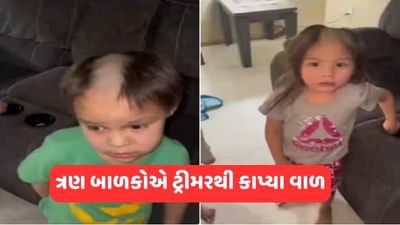 Viral Video: બાળકોના હાથે ચડ્યું ઈલેક્ટ્રીક ટ્રીમર, પછી વાળની ​​એવી હાલત કરી કે જોઈને તમે પણ ચોંકી જશો