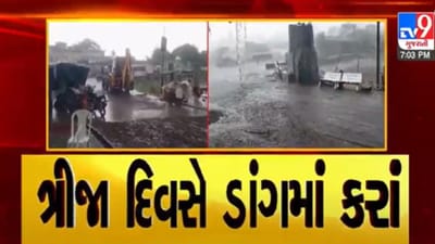 Gujarati VIDEO : ડાંગમાં સતત ત્રીજા દિવસે કરા સાથે વરસાદ, ખેડૂતોને પારાવાર નુકશાન