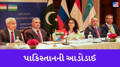 Pakistan ની આડોડાઇ, ભારતમાં SCO ચીફ જસ્ટિસની બેઠકમાં ભાગ લેવાનો કર્યો ઈનકાર