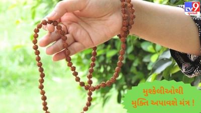 તમામ પ્રકારના વિઘ્નો અને ભયનું શમન કરશે આ મંત્ર ! નવરાત્રીના અંતિમ દિવસોમાં જરૂરથી કરજો જાપ !