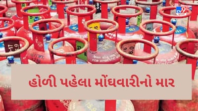 Domestic LPG Cylinder Price Hike : હોળી પહેલા ઘરેલું LPG Cylinder ના ભાવમાં 50 રૂપિયાનો ભડકો, કોમર્શિયલ 350 રૂપિયો મોંઘો
