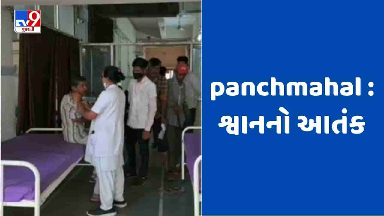 Panchmahal : ગોધરામાં શ્વાનનો આતંક, રણછોડજી મંદિર નજીક શ્વાને 4 બાળકો સહિત 11 લોકોને ભર્યા બચકા