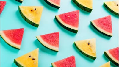 આફ્રિકામાં 5000 વર્ષ પહેલા તરબૂચની ખેતી કરવામાં આવી હતી. આ પછી, ધીમે ધીમે તેનું ઉત્પાદન વિશ્વના અન્ય દેશોમાં શરૂ થયું. લાંબા સમય પછી, તેમનામાં વિવિધ જાતિઓ વિકસિત થઈ. છેલ્લા કેટલાક સમયથી બજારમાં લાલ તરબૂચની સાથે પીળા તરબૂચ પણ દેખાવા લાગ્યા છે. જે લોકો તેને પહેલીવાર જુએ છે, તેમના મનમાં એક જ પ્રશ્ન આવે છે કે આ તરબૂચનો રંગ પીળો કેમ છે અને તે લાલ તરબૂચથી કેટલો અલગ છે. ચાલો આ પ્રશ્નનો જવાબ સમજીએ. (ફોટો ક્રેડિટ: :Illianawatermelon)