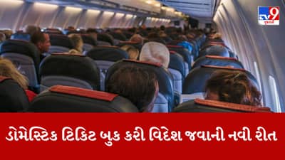 ડોમેસ્ટિક ટિકિટના નામે વિદેશ મોકલવાના ગોરખધંધા ! વાંચો કઈ રીતે એરપોર્ટ પર જ અદલાબદલી કરાય છે પાસપોર્ટ