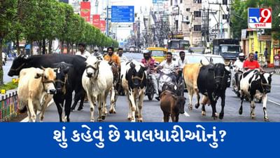 Gujarati Video: Ahmedabad : AMCએ રખડતા ઢોર પર નિયત્રંણ માટેની નવી પોલિસી પર શું કહેવું છે માલધારીઓનું ? જુઓ આ Video