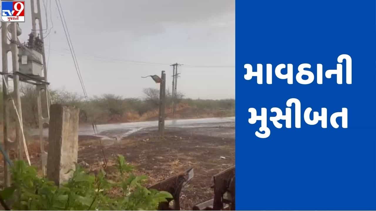 Gujarati video: અમરેલીના વડિયા, ભટવદર સહિતના ગ્રામ્ય વિસ્તારમાં કાળઝાળ ગરમી વચ્ચે માવઠાથી ઠંડક પ્રસરી