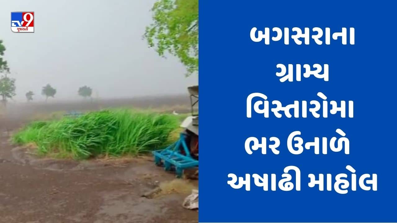 Gujarati video: અમરેલીના બગસરામાં માવઠાના કારણે વરસાદી માહોલ જામ્યો