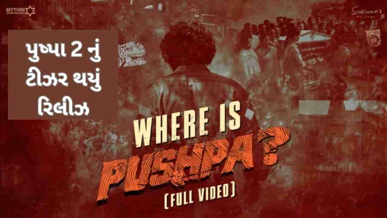 Pushpa 2: ફેન્સની પૂરી થઈ રાહ, પુષ્પા 2 નું ટીઝર રિલીઝ થયું, જુઓ Video