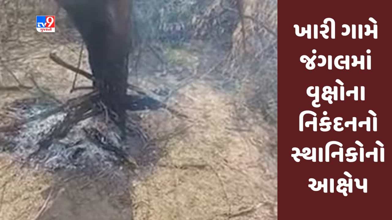 Gujarati Video : બનાસકાંઠાના અમીરગઢના ખારી ગામે જંગલમાં વૃક્ષોના નિકંદનનો સ્થાનિકોનો આક્ષેપ