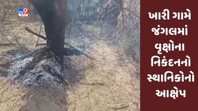 Gujarati Video : બનાસકાંઠાના અમીરગઢના ખારી ગામે જંગલમાં વૃક્ષોના નિકંદનનો સ્થાનિકોનો આક્ષેપ
