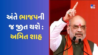 Exclusive: કર્ણાટકમાં બનશે ડબલ એન્જિન સરકાર, અંતે ભાજપની જ જીત થશે: અમિત શાહ