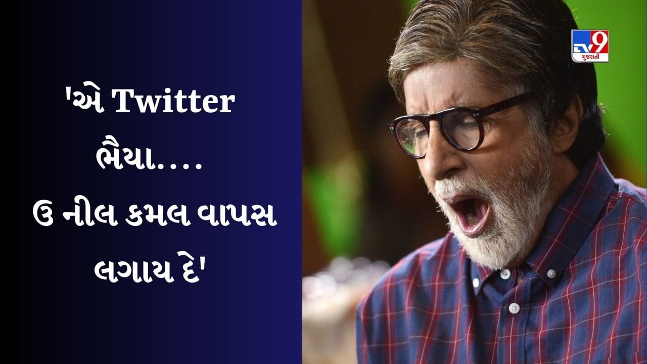 ટ્વિટર પરથી ગાયબ થયું બ્લુ ટિક, બિગ બીએ કહ્યું- એ Twitter ભૈયા! તમે સાંભળી  રહ્યા છો? હવે અમે પણ પૈસા ભરી દીધા છે - Gujarati News | Amitabh Bachchan  Funny Tweet ou, image size:1280x720