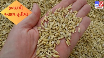 તમામ તીર્થ સ્થાનના દર્શનનું ફળ પ્રદાન કરશે અખાત્રીજ ! જાણો કેવી રીતે થશે વિવિધ મનશાઓની પૂર્તિ