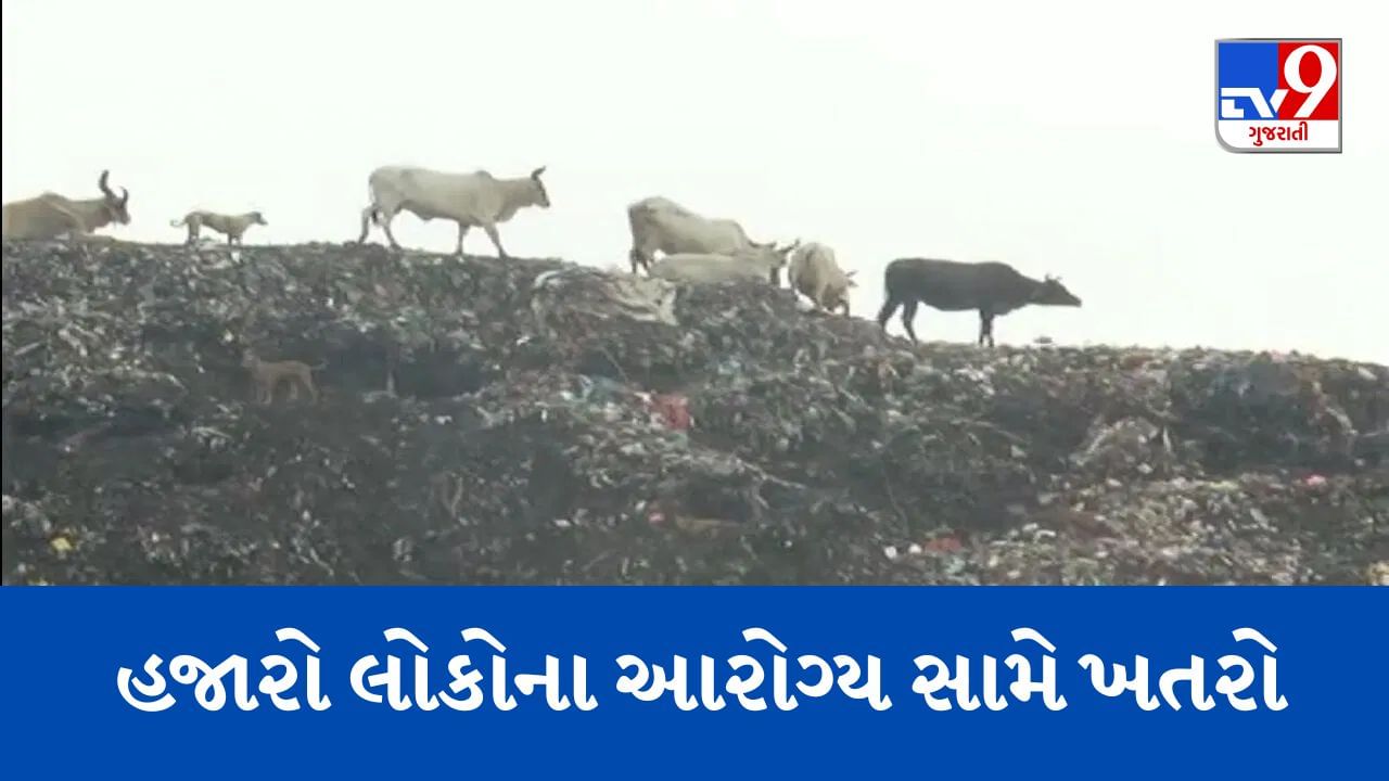 Banaskantha : પાલનપુરમાં રામપુરા ચોકડી નજીક કચરાના ઢગ, આસપાસના વિસ્તારમાં રહેતા લોકોના આરોગ્ય સામે જોખમ